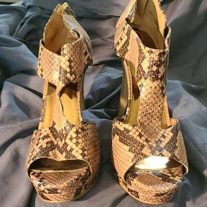 Snake skin multi color pumps.